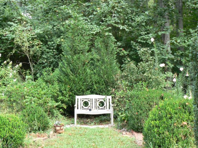 Bench in cutting garden